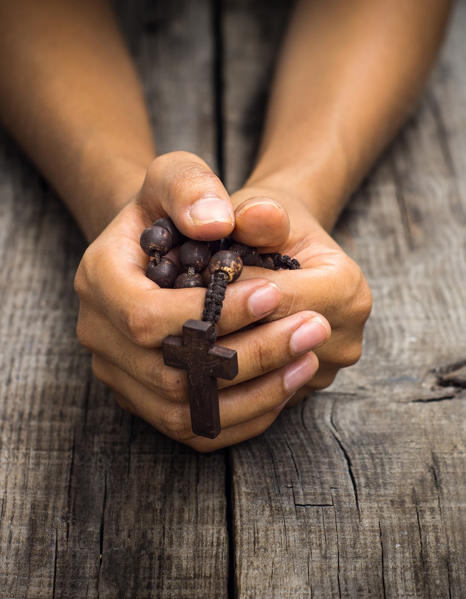 imgi_6_image2-copyright